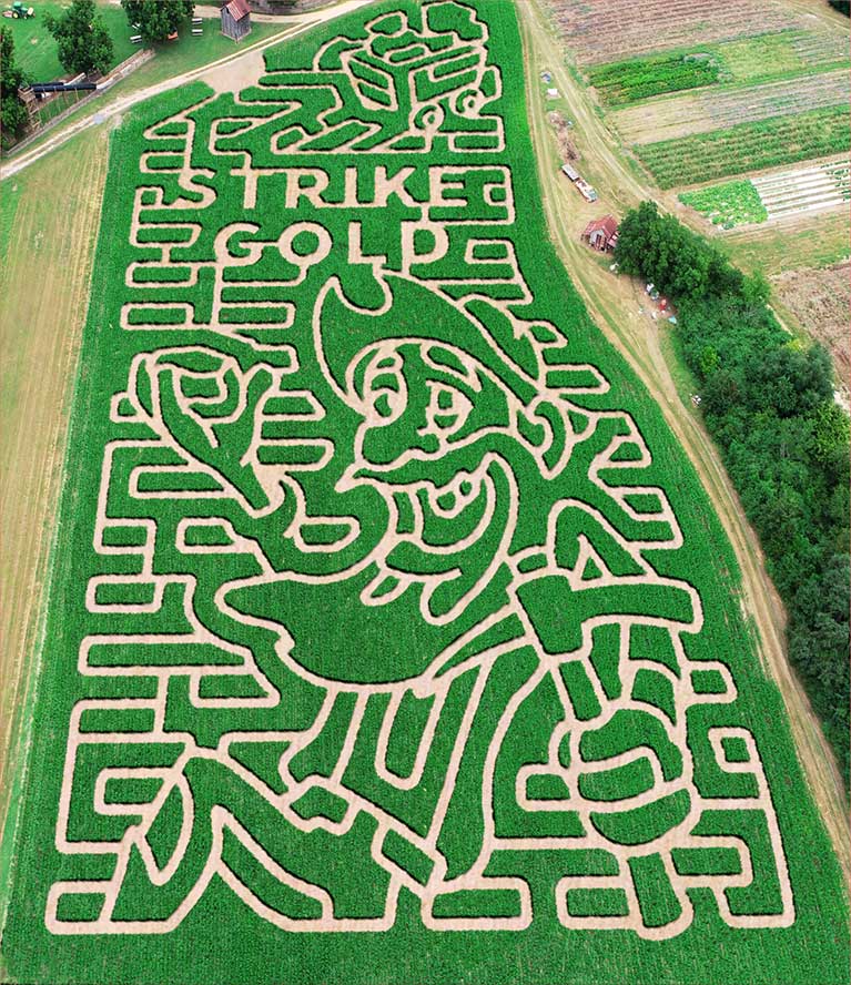 Terrell County corn maze, pumpkins, locally grown produce and more at Mark's Melon Patch near Albany Georgia