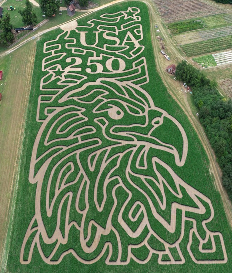 Terrell County corn maze, pumpkins, locally grown produce and more at Mark's Melon Patch near Albany Georgia