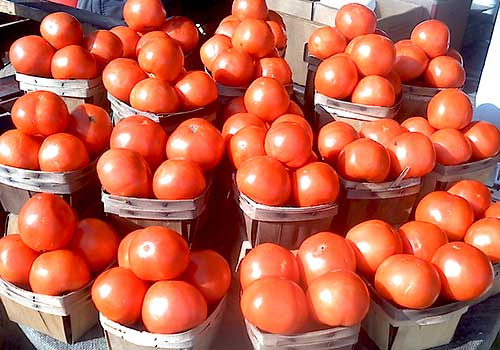 Locally grown, vine ripened tomatoes and more...the finest fruits and vegetables, from Mark's Melon Patch, near Albany Georgia.