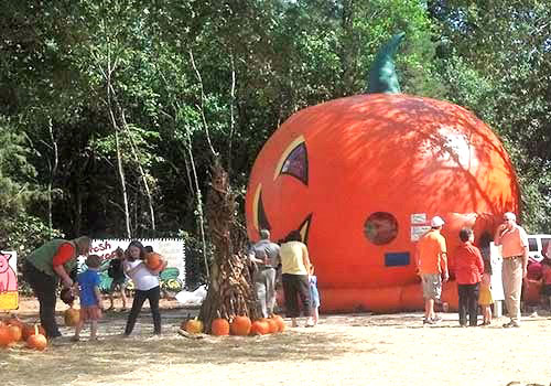 Kids will find a full day of wholesome fun at Marks Melon Patch.  And of course we feature locally grown produce and more at Mark's Melon Patch near Albany Georgia