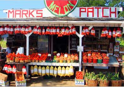 The story of Mark Daniels and locally grown produce and more at Mark's Melon Patch near Albany Georgia