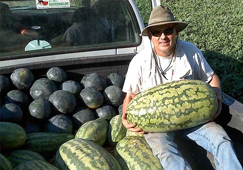 Fine, sweet watermelons and more, The story of Mark Daniels and locally grown produce and more at Mark's Melon Patch near Albany Georgia.